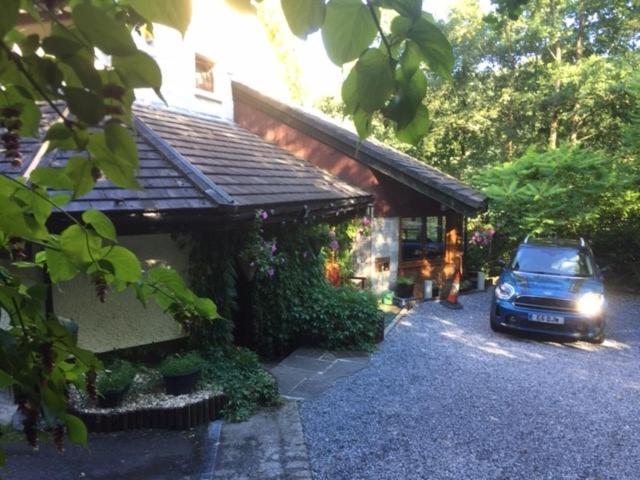 Luxury Suite In Quiet Countryside Location 斯旺西 外观 照片